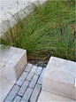 Bioswales filter stormwater in Portland, OR. Click image for many more examples and visit the Slow Ottawa 'Stormwater Solutions' board for more sustainable water management.