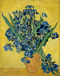 809px-Vincent_van_Gogh_-_Irises_-_Google_Art_Project.jpg (809×1024)