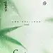 春分节气春天渐变弥散肌理植物海报aigc