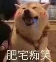 懒猪一个采集到表情包