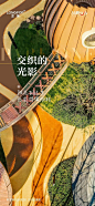 知识星球 | 深度连接铁杆粉丝，运营高品质社群，知识变现的工具