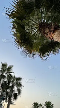 天空的美丽
