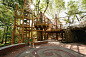 Saint Louis Zoo expands exploration for guests and animals : "Being outside is critical for primates’ well-being, and this new habitat is a demonstration of the Zoo’s commitment to providing quality animal care."