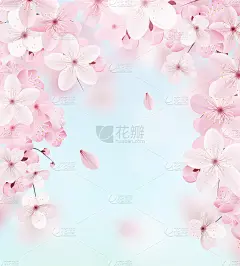 精致的花卉设计。