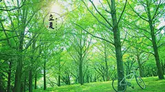 2017年立夏唯美清新图片电脑高清壁纸