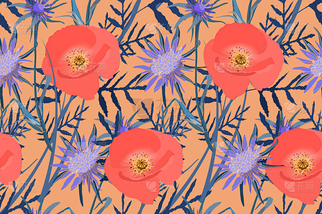 Meadow with poppy fl...