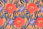Meadow with poppy flower and tragopogon.