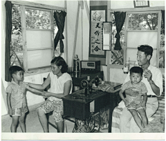 azh采集到历史