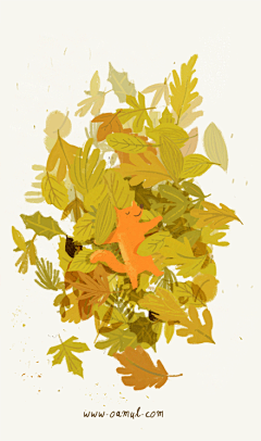 FOREST森采集到FOX