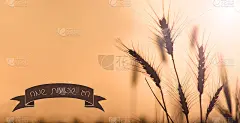 犹太节日七夕节快乐贺卡
