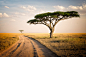 An African Journey - Tanzania by Daniel Nahabedian on 500px