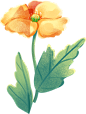 绿色黄色植物惊蛰插画中国风花卉节气立春彩色图片