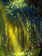*tahra 华丽的世界 艺术插画 灵感 漫画 游戏设定 森林 插画 场景设定 华丽 CG 