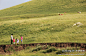【内蒙古】克旗草原.风吹草低见牛羊, 快乐出发的旅行摄影旅游攻略