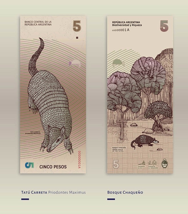 漂亮的阿根廷货币再设计 | Beauti...