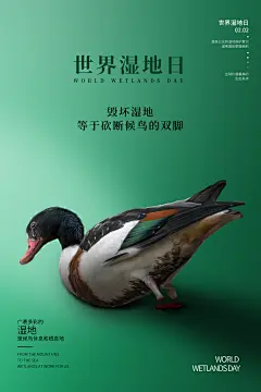 世界湿地日保护湿地大自然环保海报