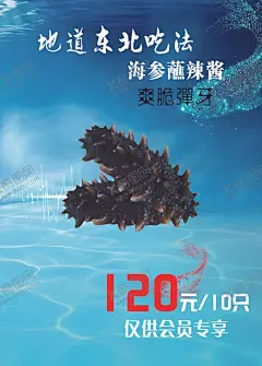 大连晓芹海参海报 【酷图网】大连,晓芹,海参,菜单,海报