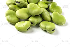 憨豆先生桑德尔