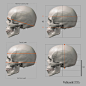 Proportions Guide of the Human Skull