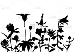 野花,环境,植物群,风铃草属,草地,有机食品,绘制,花,剪影,除草