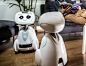 BUDDY – Your Family’s Companion Robot
