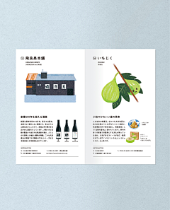 FORESTING采集到画册 l 折页 l 单页