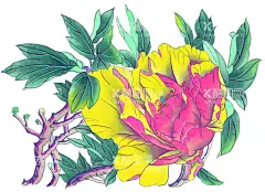 牡丹  - 源文件下载【酷图网】百花争艳,国画百花争艳,国画,花鸟画,花,水墨画,花朵,红花,手绘花朵,手绘花,水墨画花,抽象花,工笔画,月季,牡丹,水墨荷花,