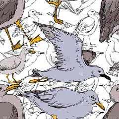 矢量天空鸟海鸥在野生动物隔离。黑白雕刻水墨艺术。无缝背景模式.