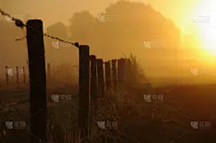 黎明,新的,水平画幅,无人,湿,早晨,带刺铁丝网,气候与心情,特写,非凡的