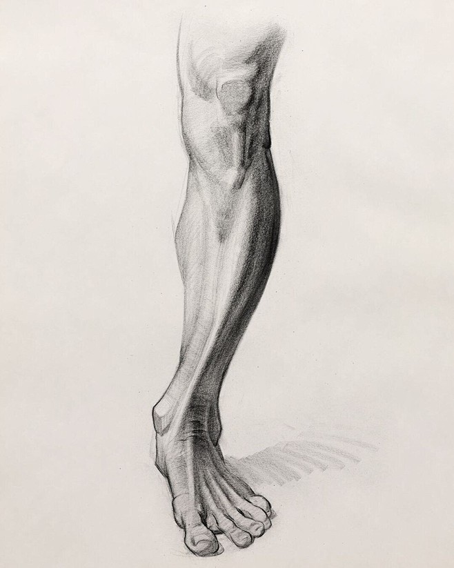 Drawing the Leg, Sta...