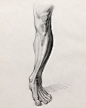 Drawing the Leg, Stan Prokopenko : Here’s anatomy assignment from the legs part that’s available to watch in the premium anatomy course - https://proko.com/anatomy