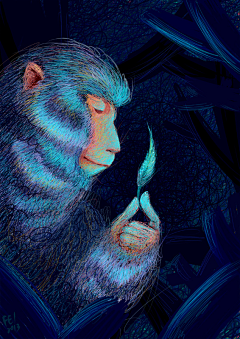 阿莱福的夜采集到插画