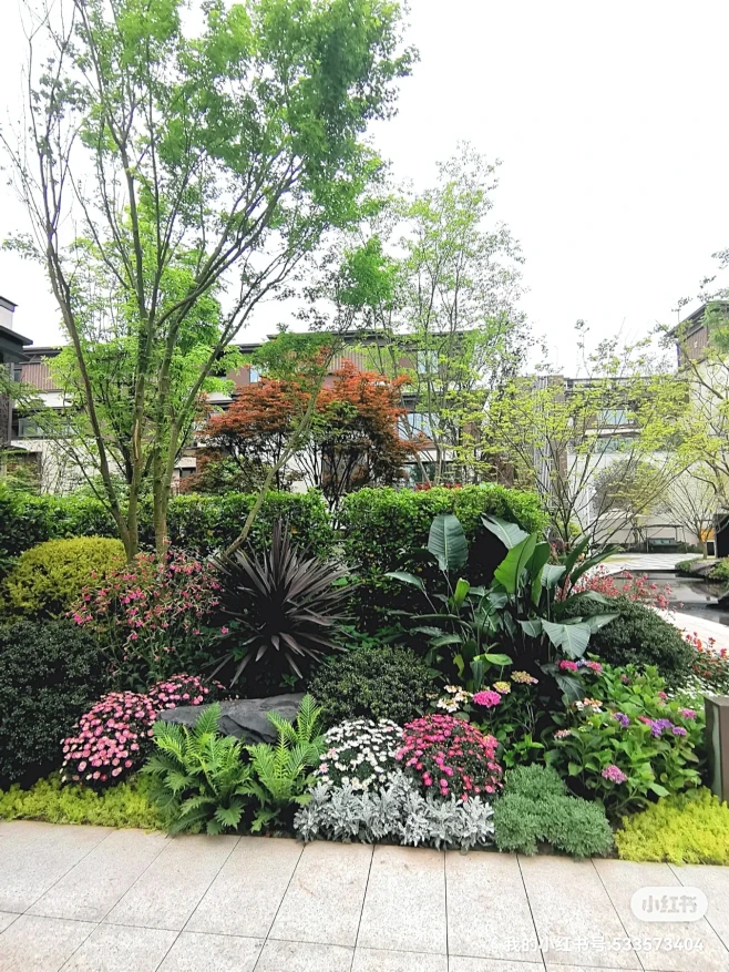 花镜景观|植物组团