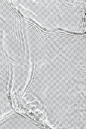 水波纹