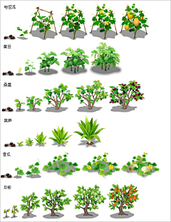 狐狸控233采集到植物