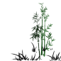 竹子插画-古风手绘竹子1.png