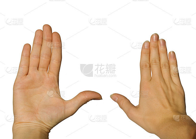 两只手，前后
