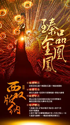 臻品金凤凰云南旅游海报-设计素材-shejisc.cn