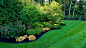Driveway, Front Yard and Backyard Landscaping traditional-garden