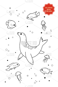 Murexide采集到Materials-海洋素材