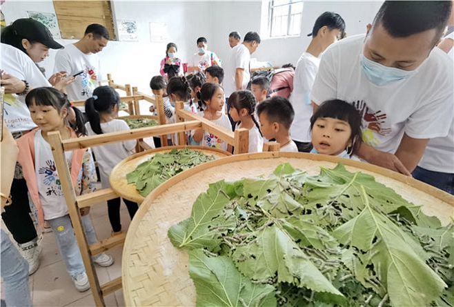 春天正是养蚕好时节，去佛山南海丝厂参加蚕桑丝织文化研学之旅 : 春天正是养蚕好时节，去佛山南海丝厂参加蚕桑丝织文化研学之旅,南海,蚕桑,蚕茧,丝厂