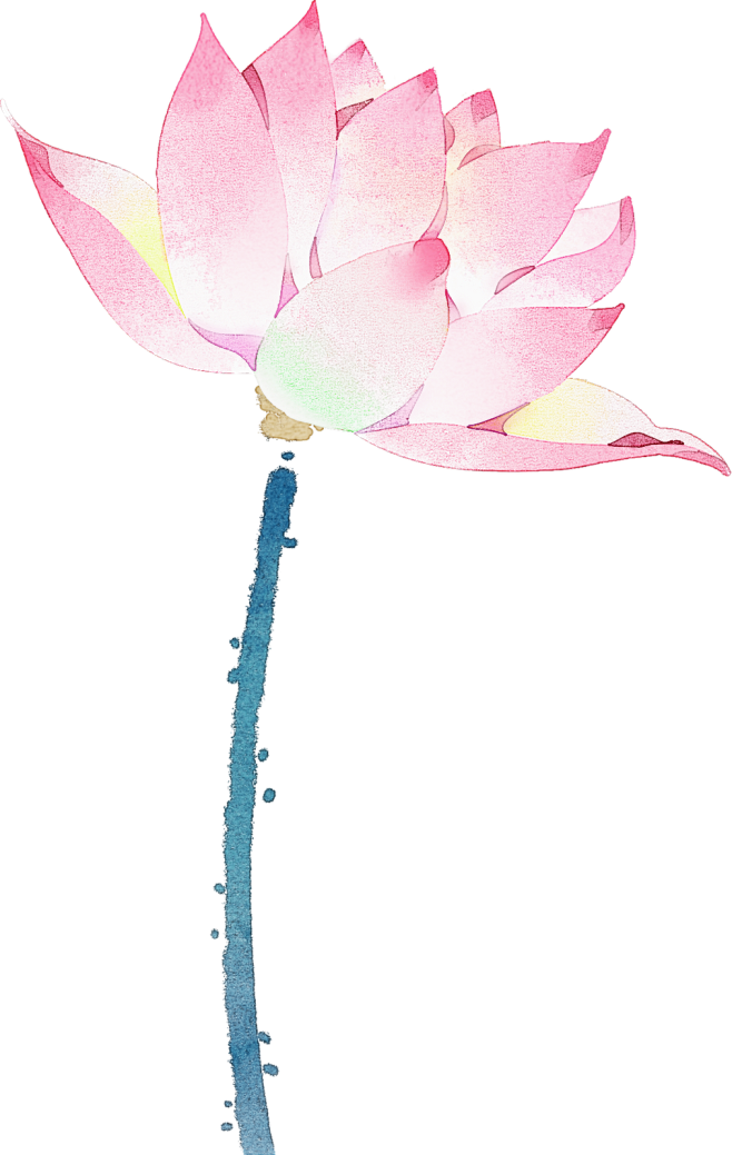夏季节气完整插画-荷花