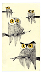 “猫头鹰之夜！”  由法国视觉发展艺术家Laurent Bruno #owls撰写
