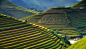 Photograph Mu cang chai (vietnam) by sarawut Intarob on 500px
CameraNIKON D800
Focal Length135mm
Shutter Speed1/60 secs
Aperturef/8
ISO/Film100