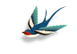 燕子