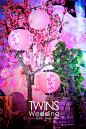 【和の风】——Twinswedding