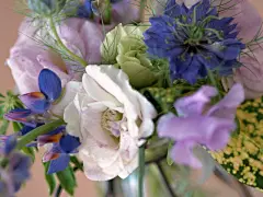 唯美的室内花写真桌面高清壁纸桌面壁纸2