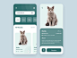 Nas在Dribbble上发布的Pet Adoption App