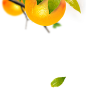 orange_righttop.png (372×379)