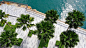 新加坡吉宝湾丽珊景住宅 Corals at Keppel Bay / ICN Design :   ICN Design:  对于位于新加坡吉宝湾的Daniel Libeskind设计的豪华住宅来说，ICN的景观与周围的水和海岸线产生了共鸣。从落基湾潮汐中汲取灵感，花园散发出长长的感官曲线，形成一个广阔的水景。就像一座从游泳池中心升起的岛屿，社交俱乐部披上...